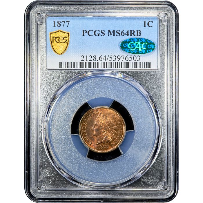 1877 Indian Cent (1c) Obverse Image