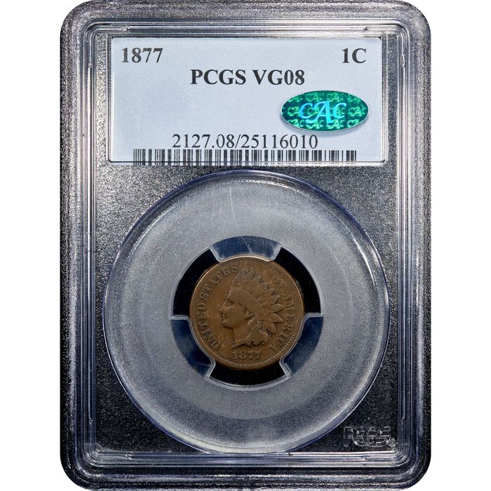 1877 Indian Cent (1c) Obverse Image
