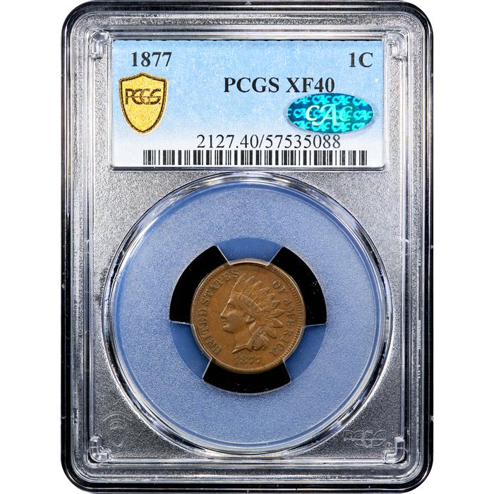1877 Indian Cent (1c) Obverse Image