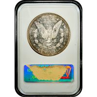 1878 7TF Morgan Dollar ($1) Reverse of 1878 Reverse Slab Image