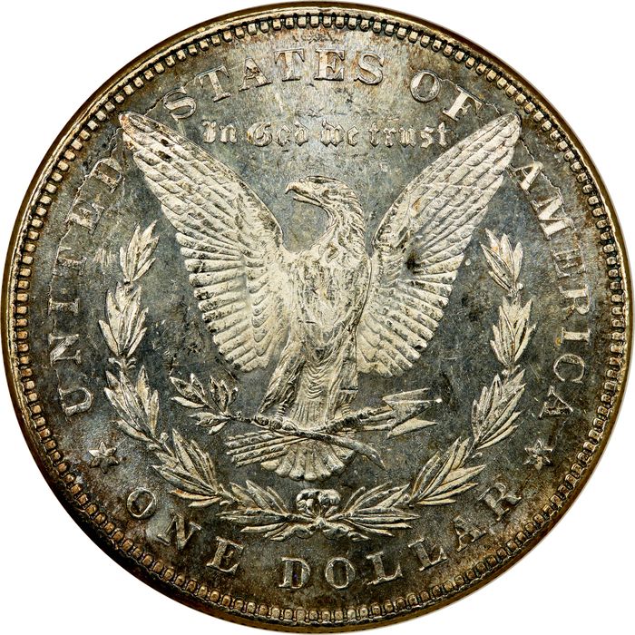 1878 7TF Morgan Dollar ($1) Reverse of 1878 Reverse Image