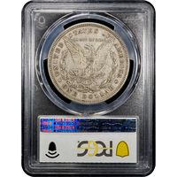 1878 Morgan Dollar ($1) 8TF VAM 14.15 Lines in Hair Reverse Image