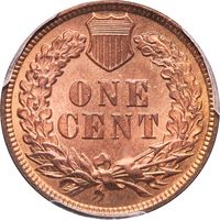 1879 Indian Cent (1c) Photo 4