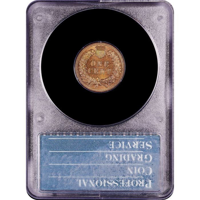 1879 Indian Cent (1c) Rattler Reverse Slab Image