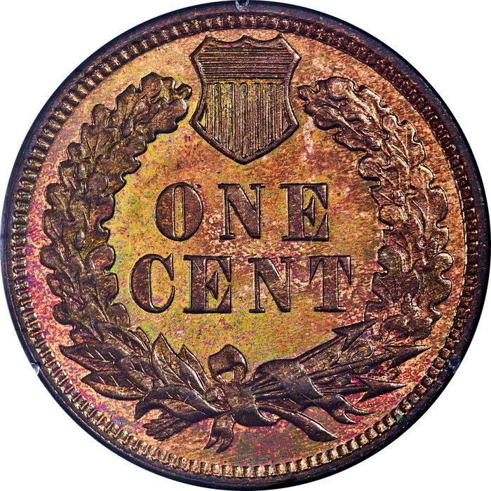 1879 Indian Cent (1c) Rattler Reverse Image