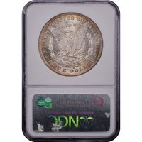 1879-S Morgan Dollar ($1) Toner Reverse Slab Image