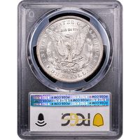 1884-CC Morgan Dollar ($1) Reverse Slab Image
