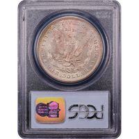 1885 Morgan Dollar ($1) Toner Reverse Slab Image