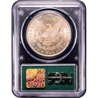 1885-O Morgan Dollar ($1) Doily Reverse Image