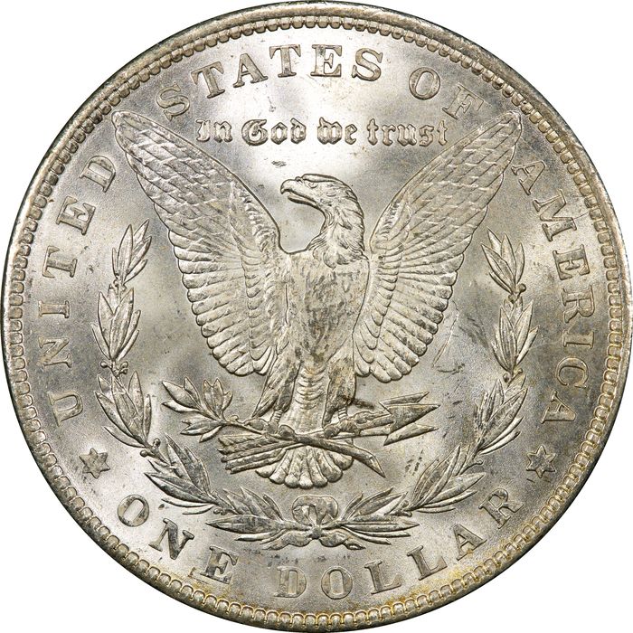 1889 Morgan Dollar ($1) Rattler Reverse Image