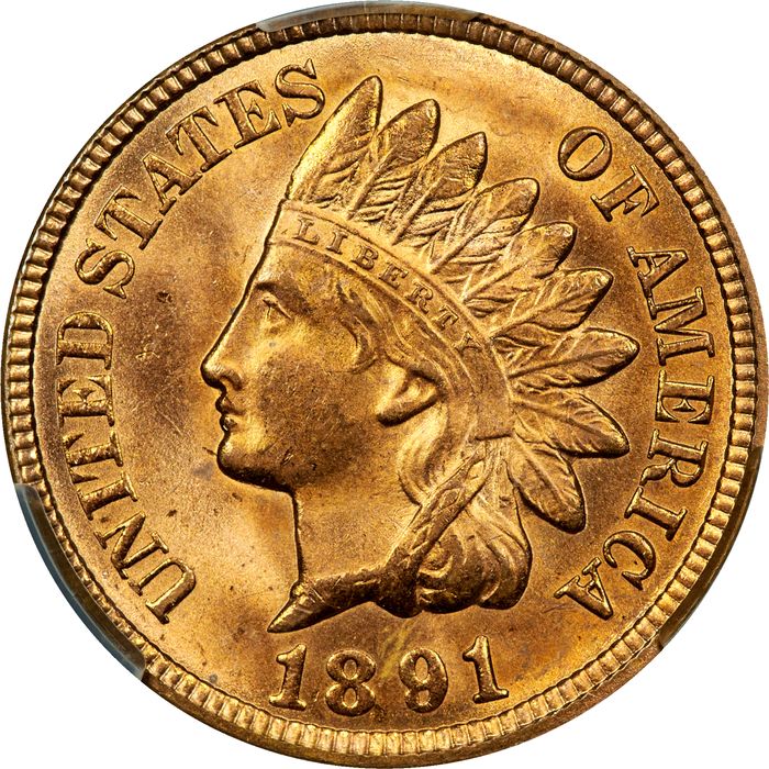1891 Indian Cent (1c) Photo 3