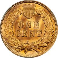 1891 Indian Cent (1c) Photo 4