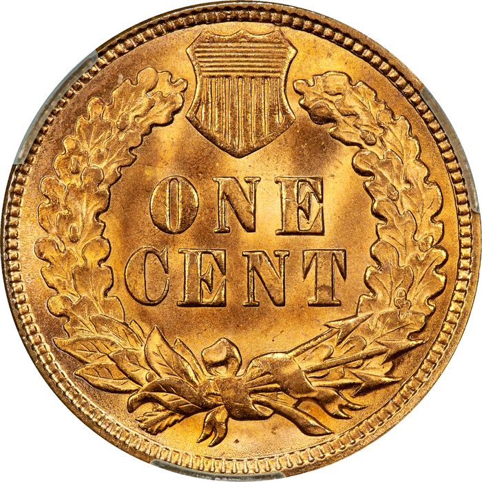 1891 Indian Cent (1c) Photo 4