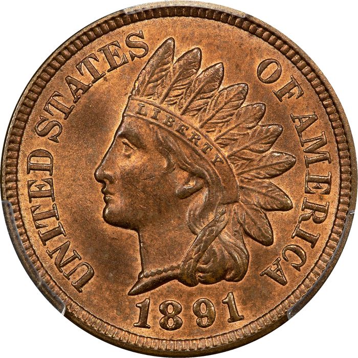 1891 Indian Cent (1c) Photo 3
