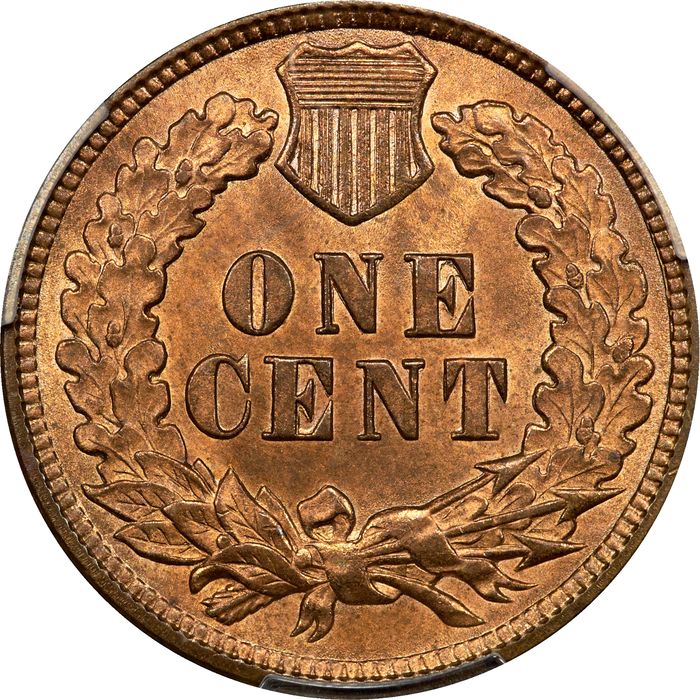 1891 Indian Cent (1c) Photo 4