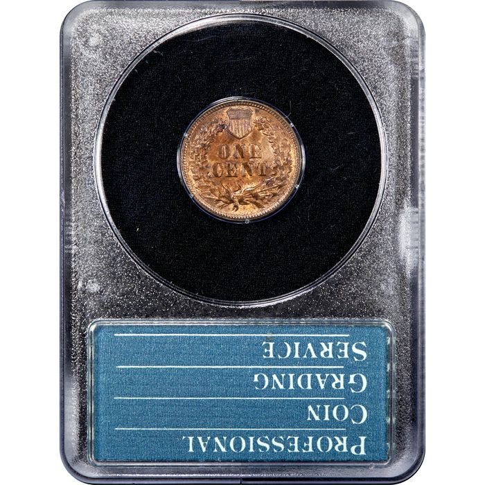 1891 Indian Cent (1c) Rattler Reverse Slab Image