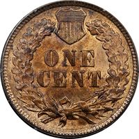 1891 Indian Cent (1c) Rattler Reverse Image