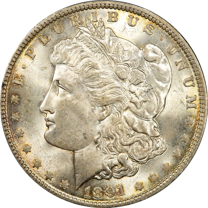 1891 Morgan Dollar ($1) Obverse Image