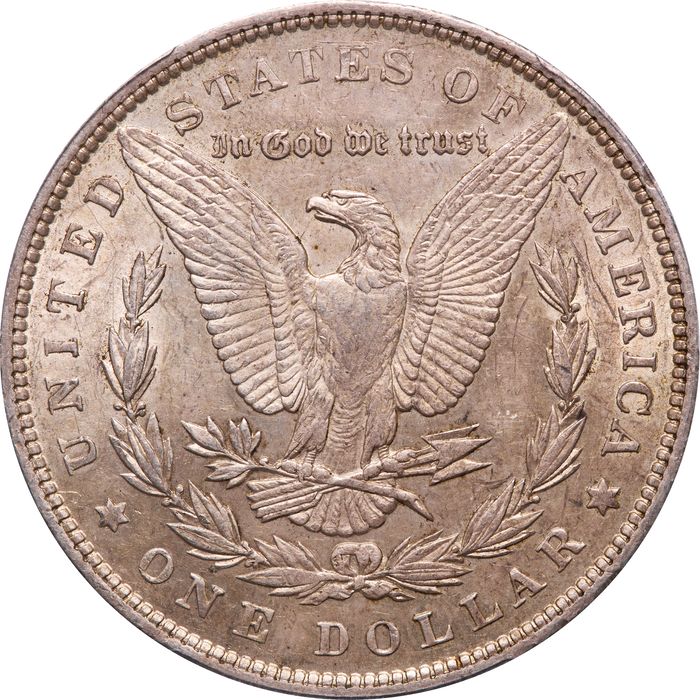 1893 Morgan Dollar ($1) Reverse Image