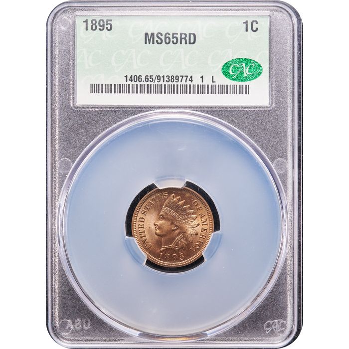 1895 Indian Cent (1c) Obverse Image