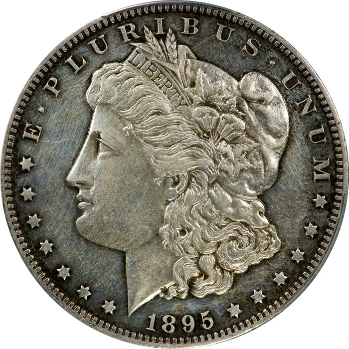 1895 Morgan Dollar ($1) Photo 3