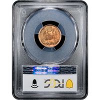 1897 Indian Cent (1c) Laidacker Collection Reverse Slab Image