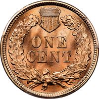 1898 Indian Cent (1c) Laidacker Collection Reverse Image