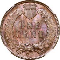 1898 Indian Cent (1c) Photo 4