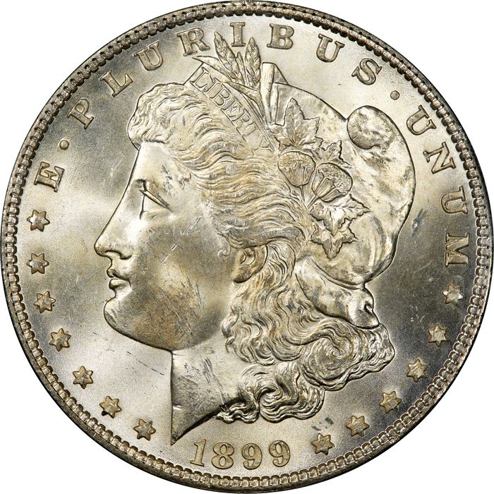 1899 Morgan Dollar ($1) Photo 3