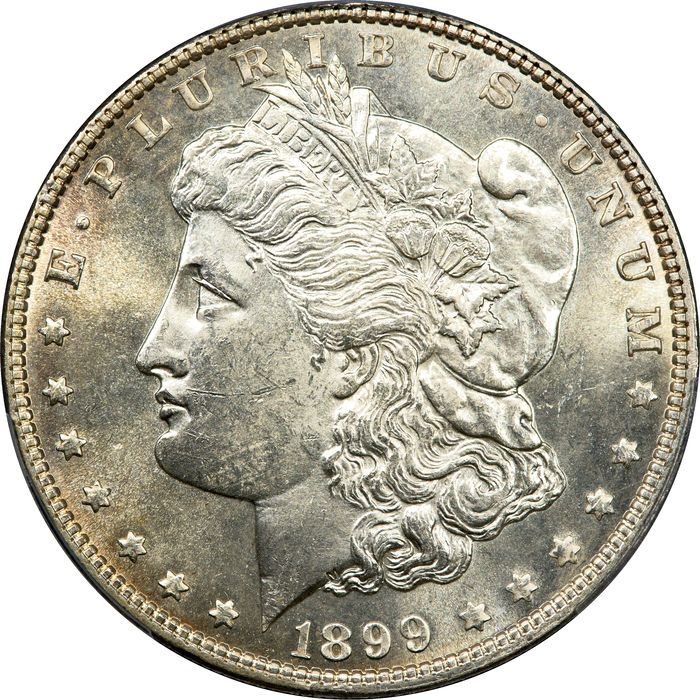 1899 Morgan Dollar ($1) Obverse Image