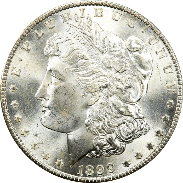 1899-O Morgan Dollar ($1) OGH Photo 3