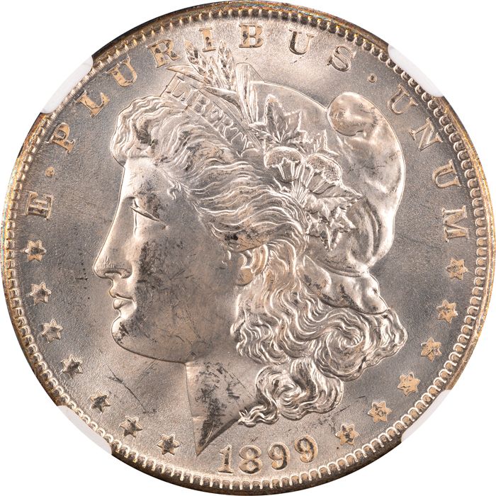 1899-O Morgan Dollar ($1) Reverse Toner Reverse Image