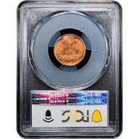 1900 Indian Cent (1c) Laidacker Collection Reverse Slab Image