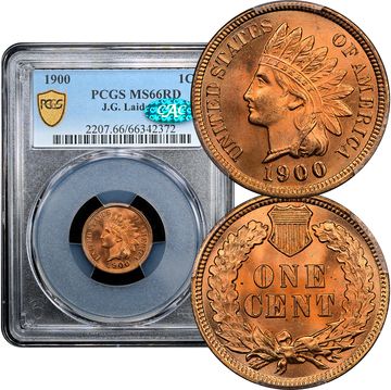 1900 Indian Cent (1c) Laidacker Collection Composite Image