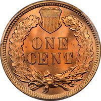 1900 Indian Cent (1c) Laidacker Collection Reverse Image