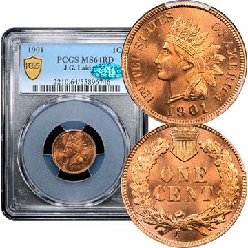 1901 Indian Cent (1c) Laidacker Collection Composite Image
