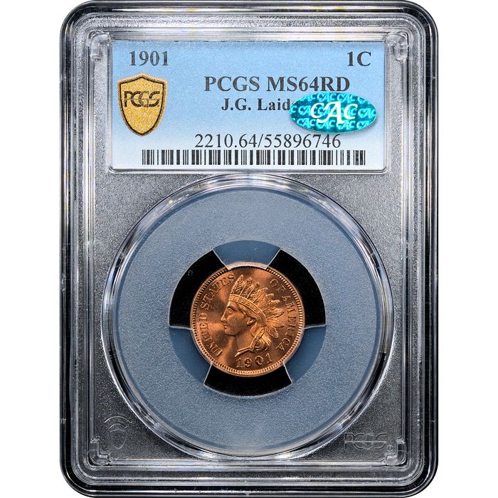 1901 Indian Cent (1c) Laidacker Collection Obverse Slab Image