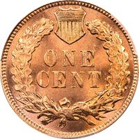 1901 Indian Cent (1c) Laidacker Collection Reverse Image