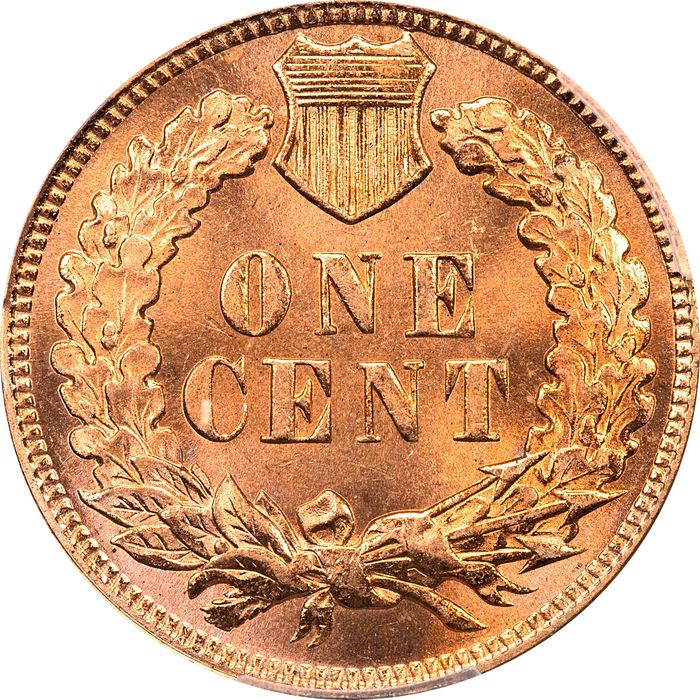1901 Indian Cent (1c) Laidacker Collection Reverse Image