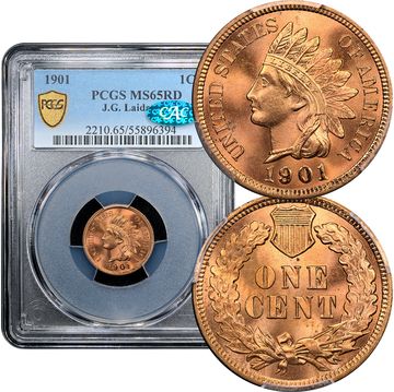 1901 Indian Cent (1c) Laidacker Collection Composite Image