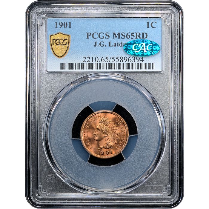 1901 Indian Cent (1c) Laidacker Collection Obverse Slab Image