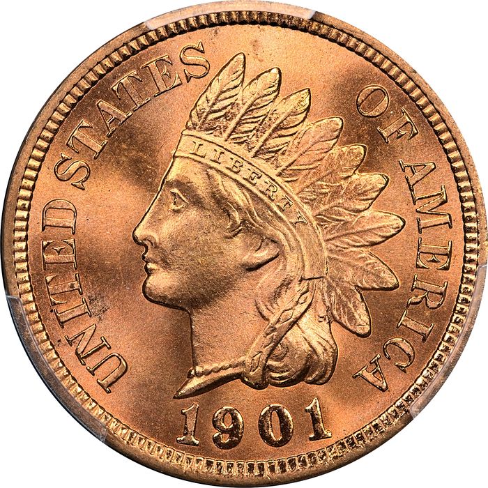 1901 Indian Cent (1c) Laidacker Collection Obverse Image