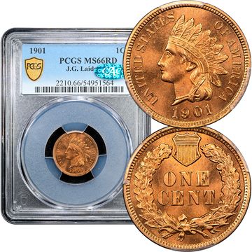 1901 Indian Cent (1c) Laidacker Collection Composite Image
