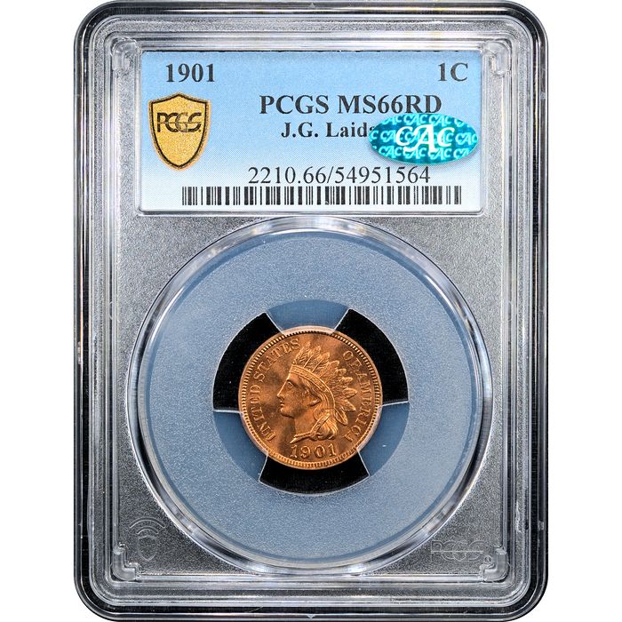 1901 Indian Cent (1c) Laidacker Collection Obverse Slab Image