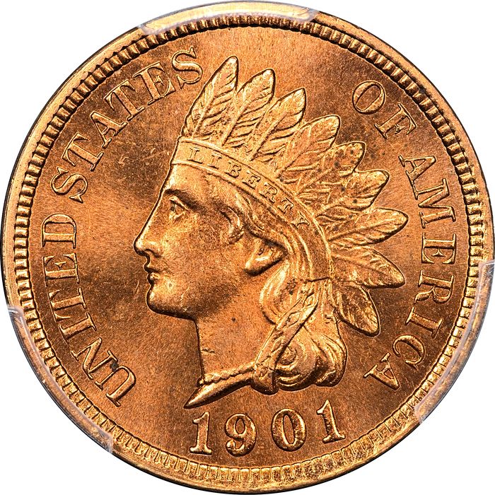 1901 Indian Cent (1c) Laidacker Collection Obverse Image