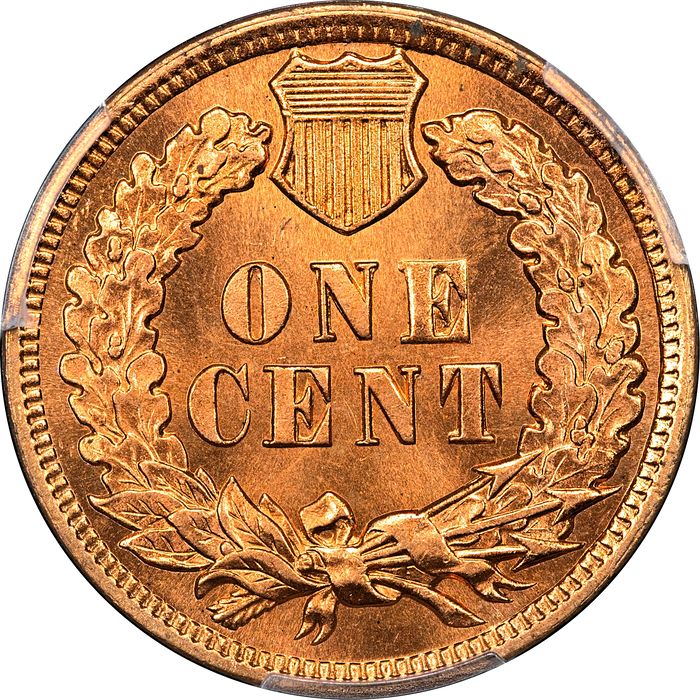 1901 Indian Cent (1c) Laidacker Collection Reverse Image