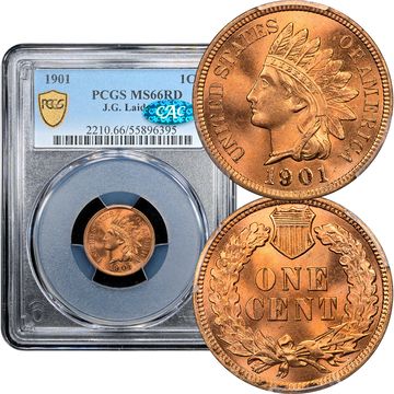 1901 Indian Cent (1c) Laidacker Collection Composite Image