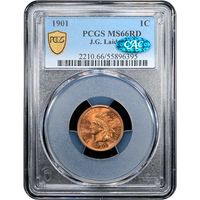 1901 Indian Cent (1c) Laidacker Collection Obverse Slab Image