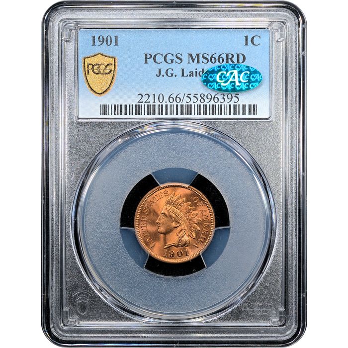 1901 Indian Cent (1c) Laidacker Collection Obverse Slab Image
