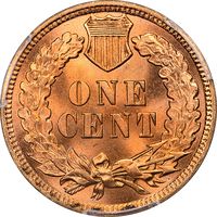 1901 Indian Cent (1c) Laidacker Collection Reverse Image